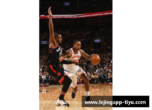 冰块NBA：探索冰上篮球的未来